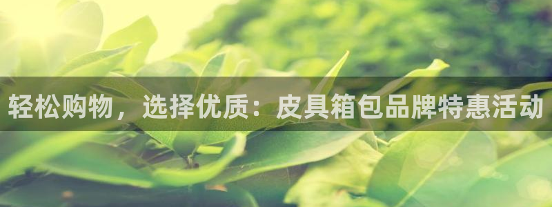 卧龙娱乐招商主管