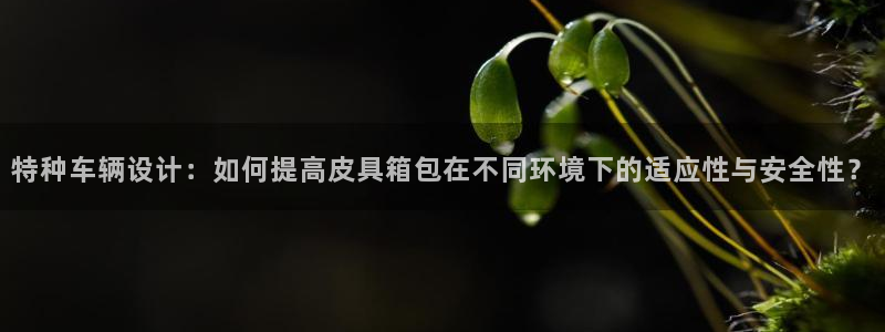 卧龙吟娱乐玩法