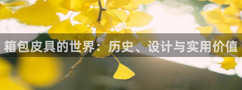 卧龙棋牌娱乐官网